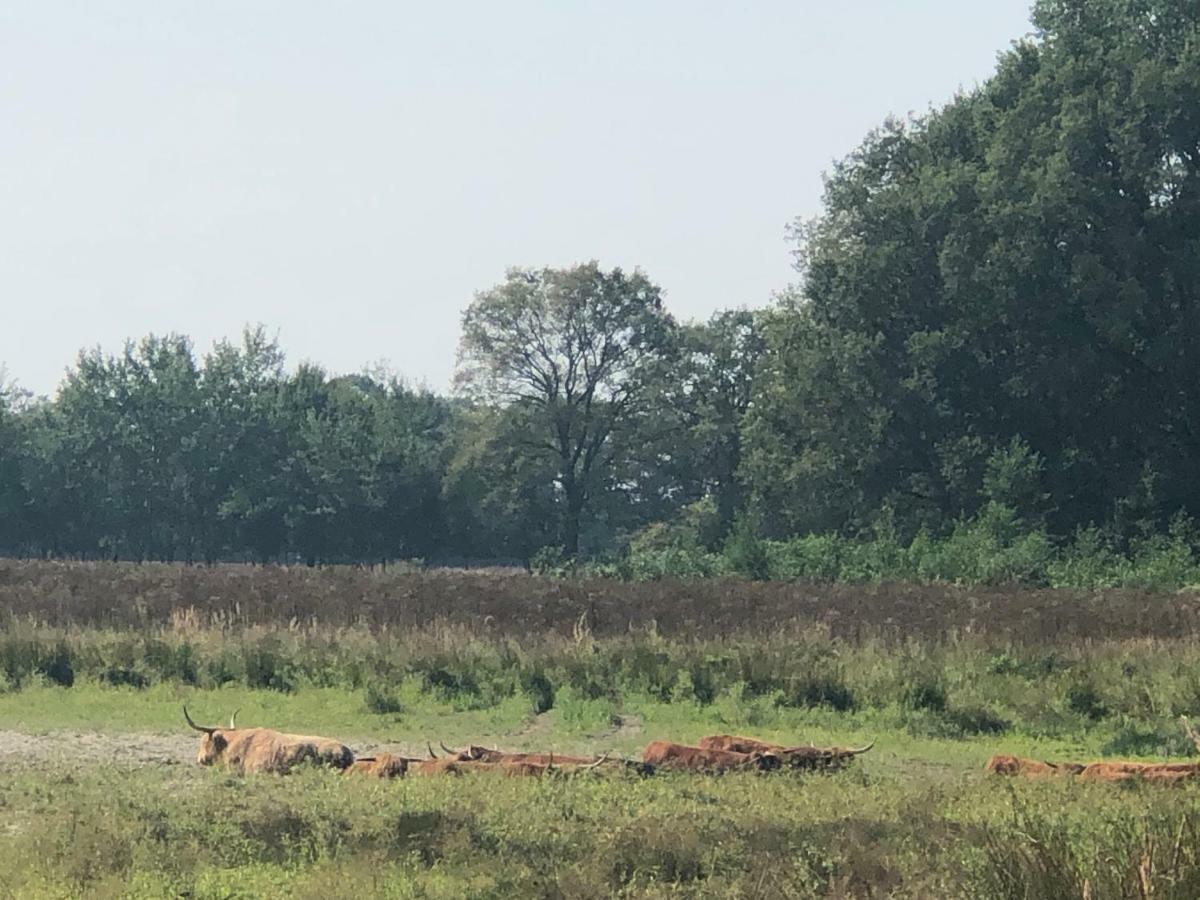 'T Vosseven Vakantiepark Stramproy Esterno foto